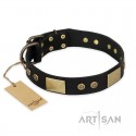 German Shepherd Collar "Spanish night" FDT Artisan Black Leather