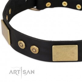 Schwarzes Nieten Lederhalsband für Schäferhunde "Spanish night" FDT Artisan 