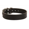 German Shepherd Collar of Wide Leather Strap