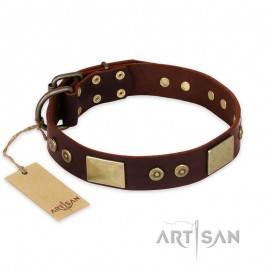 German Shepherd Collar "Shining Armour" FDT Artisan Tan Leather