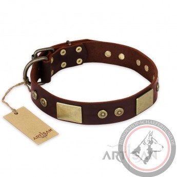 German Shepherd Collar "Shining Armour" FDT Artisan Tan Leather