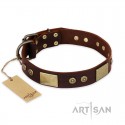 German Shepherd Collar "Shining Armour" FDT Artisan Brown Leather