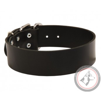 Extra Wide Leather Collar