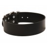 Extra Wide Leather Collar