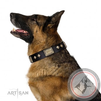 Halsband aus schwarzem Leder für Schäferhunde "Jewel Passion" FDT Artisan 