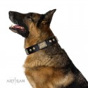 German Shepherd Collar "Spanish night" FDT Artisan Black Leather