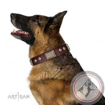 German Shepherd Collar "Spanish night" FDT Artisan Tan Leather