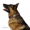 German Shepherd Collar "Spanish night" FDT Artisan Brown Leather