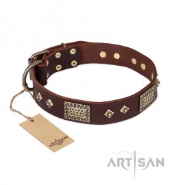 German Shepherd Collar "Spanish night" FDT Artisan Tan Leather