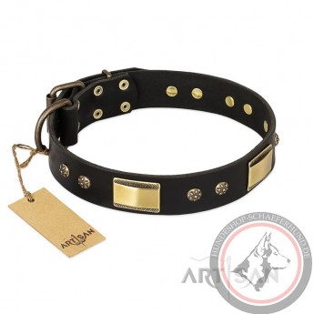 German Shepherd Collar "Black Sun" FDT Artisan Black Leather