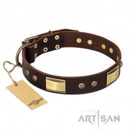 FDT Artisan Leather Dog Collar with Studs for German Shepherd "Captivating" 