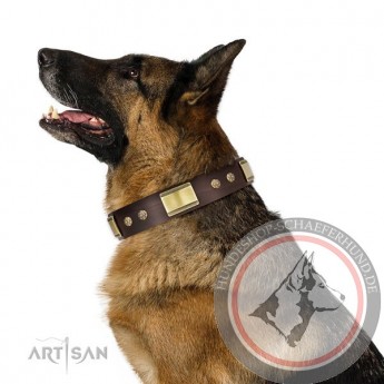 FDT Artisan Leder Halsband mit Nieten für Deutschen Schäferhund "Captivating" 