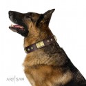 FDT Artisan Leather Dog Collar with Studs for German Shepherd "Captivating" 