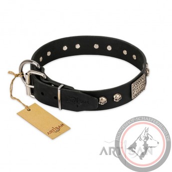 Schwarzes Nieten Lederhalsband für Schäferhunde "Pirates Gold" FDT Artisan 