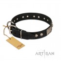 German Shepherd Collar "Pirates Gold" FDT Artisan Black Leather