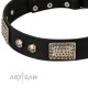 Schwarzes Nieten Lederhalsband für Schäferhunde "Pirates Gold" FDT Artisan 