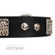 German Shepherd Collar "Pirates Gold" FDT Artisan Black Leather