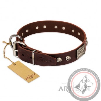 German Shepherd Collar "Pirate Skull" FDT Artisan Brown Leather