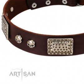 German Shepherd Collar "Pirate Skull" FDT Artisan Brown Leather