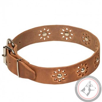 Leather Dog Collar with Nickel Decoration