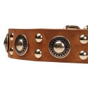 German Shepherd Collar Leather, Mix of Studs & Conchos