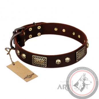 German Shepherd Collar "Magic Amulet" FDT Artisan Brown Leather