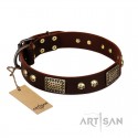 German Shepherd Collar "Magic Amulet" FDT Artisan Brown Leather