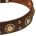 GSD Collar of Leather with Space-Like Brass Deco