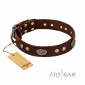 German Shepherd Collar "Old-fashioned Glamor" FDT Artisan Brown Leather