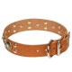 Studded Leather Dog Collar with Silver-Like Adornment