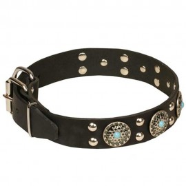 Studded Leather Dog Collar with Silver-Like Adornment