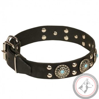 Studded Leather Dog Collar with Silver-Like Adornment