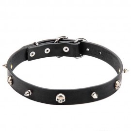 Ledernes Spikes und Schädeln Halsband für Schäferhund