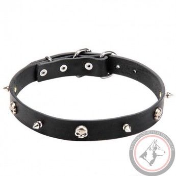 Ledernes Spikes und Schädeln Halsband für Schäferhund