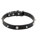 Originelles Leder Halsband für Schäferhund mit "Piraten" Design