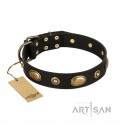 German Shepherd Collar "Eye-Catcher" FDT Artisan Black Leather