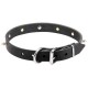 Ledernes Spikes und Schädeln Halsband für Schäferhund