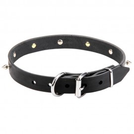 Ledernes Spikes und Schädeln Halsband für Schäferhund