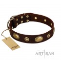 German Shepherd Collar "Hebe’s Jewel" FDT Artisan Brown Leather