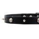 Ledernes Spikes und Schädeln Halsband für Schäferhund