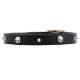 Leather Dog Collar with Row of Brass Spikes and Skulls