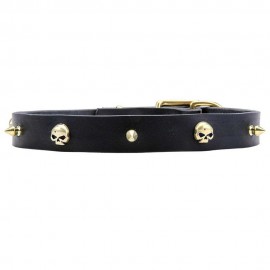 Leather Dog Collar with Row of Brass Spikes and Skulls