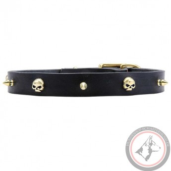 Leather Dog Collar with Row of Brass Spikes and Skulls