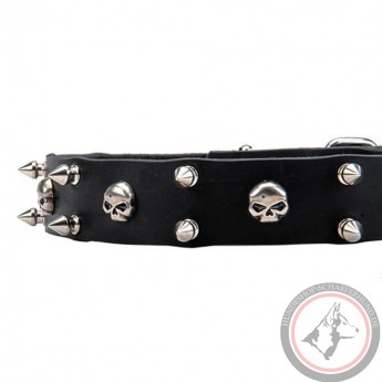 Leather Dog Collar with Nickel Spikes