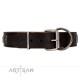 German Shepherd Collar "Stars of Glory" FDT Artisan Tan Leather