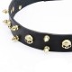 Leather Dog Collar with Brass Spikes