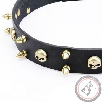 Leather Dog Collar with Brass Spikes