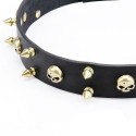 GSD Collar, Wide Leather, Brass Skulls and Spikes