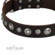 Verziertes Halsband "Gorgeous Shields" aus Leder für Schäferhund 
