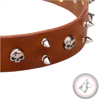 Spiked Leather Dog Collar